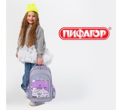 Рюкзак ПИФАГОР SCHOOL, 1 отделение, 3 кармана, 