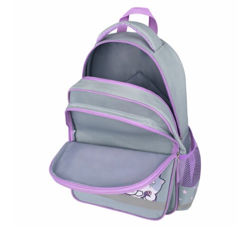 Рюкзак ПИФАГОР SCHOOL, 1 отделение, 3 кармана, 