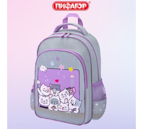 Рюкзак ПИФАГОР SCHOOL, 1 отделение, 3 кармана, 