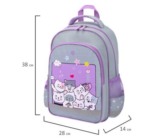 Рюкзак ПИФАГОР SCHOOL, 1 отделение, 3 кармана, 