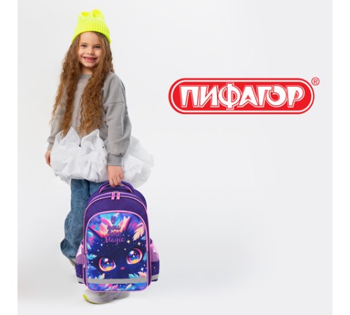 Рюкзак ПИФАГОР SCHOOL, 1 отделение, 3 кармана, 
