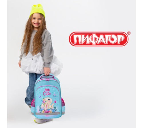 Рюкзак ПИФАГОР SCHOOL, 1 отделение, 3 кармана, 