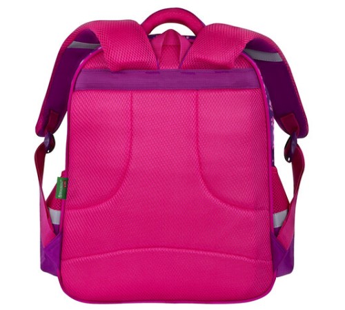 Рюкзак BRAUBERG KIDS MIND с пеналом в комплекте, 2 отделения, 