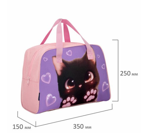 Сумка для занятий BRAUBERG с ручками, 35x25x15 см, 