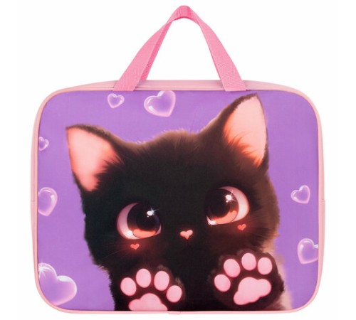 Папка на молнии с ручками BRAUBERG А4, 1 отделение, полиэстер, 80 мм, 