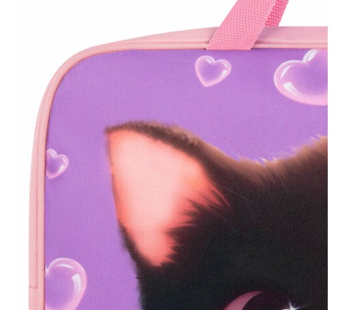 Папка на молнии с ручками BRAUBERG А4, 1 отделение, полиэстер, 80 мм, 