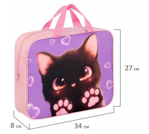 Папка на молнии с ручками BRAUBERG А4, 1 отделение, полиэстер, 80 мм, 