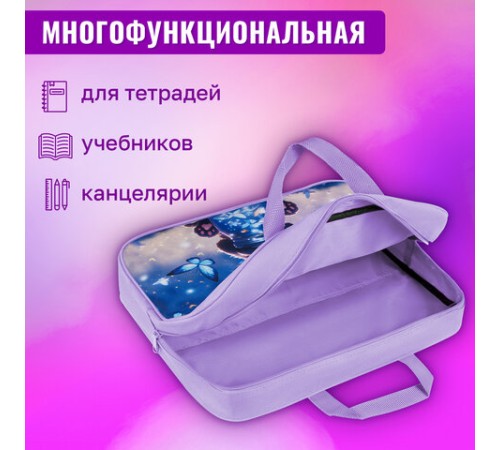 Папка на молнии с ручками BRAUBERG А4, 1 отделение, полиэстер, 80 мм, 