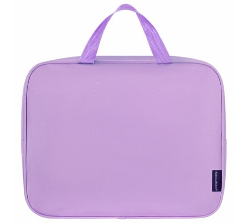 Папка на молнии с ручками BRAUBERG А4, 1 отделение, полиэстер, 80 мм, 