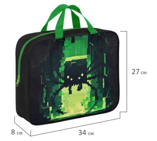 Папка на молнии с ручками BRAUBERG А4, 1 отделение, полиэстер, 80 мм, 