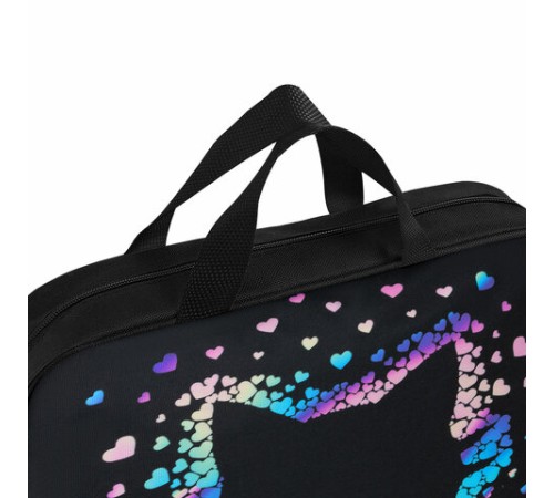 Папка на молнии с ручками BRAUBERG А4, 1 отделение, полиэстер, 80 мм, 