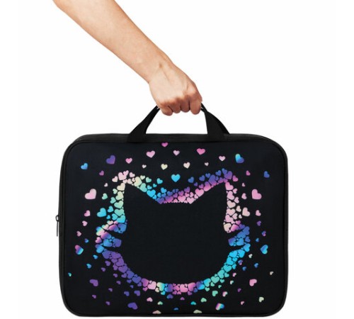 Папка на молнии с ручками BRAUBERG А4, 1 отделение, полиэстер, 80 мм, 