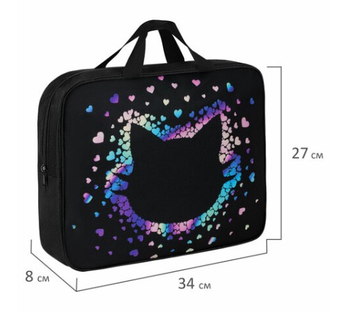 Папка на молнии с ручками BRAUBERG А4, 1 отделение, полиэстер, 80 мм, 