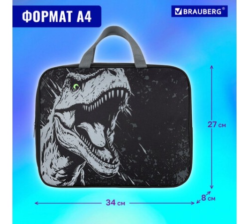 Папка на молнии с ручками BRAUBERG А4, 1 отделение, полиэстер, 80 мм, 