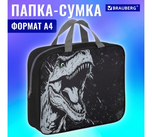 Папка на молнии с ручками BRAUBERG А4, 1 отделение, полиэстер, 80 мм, 