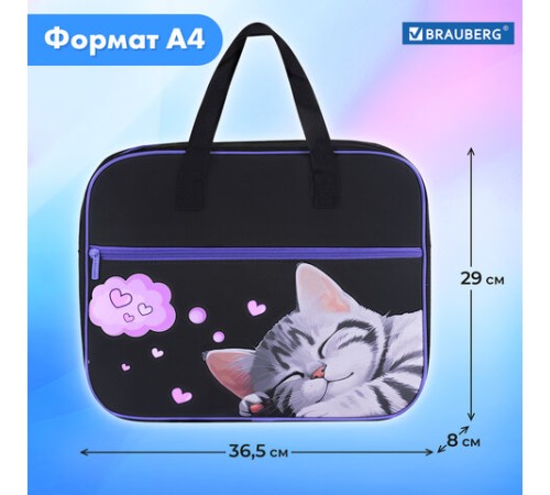 Папка на молнии с ручками BRAUBERG А4, 1 отделение, карман на молнии, 80 мм, 