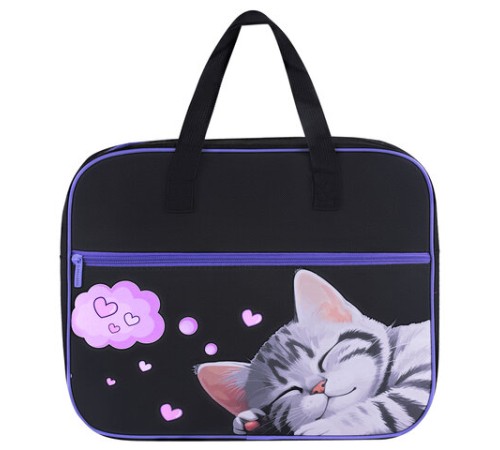 Папка на молнии с ручками BRAUBERG А4, 1 отделение, карман на молнии, 80 мм, 