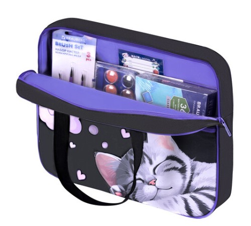 Папка на молнии с ручками BRAUBERG А4, 1 отделение, карман на молнии, 80 мм, 