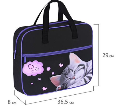 Папка на молнии с ручками BRAUBERG А4, 1 отделение, карман на молнии, 80 мм, 