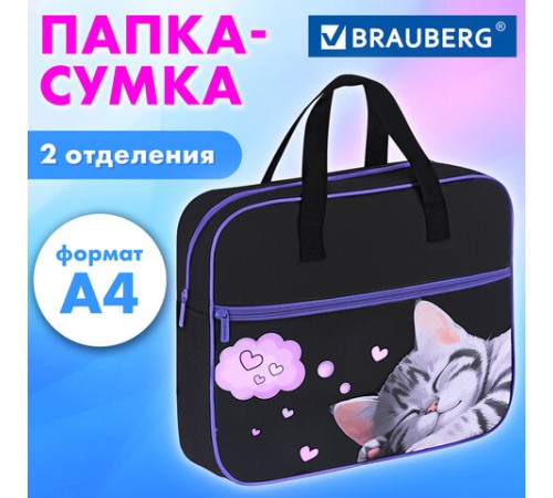 Папка на молнии с ручками BRAUBERG А4, 1 отделение, карман на молнии, 80 мм, 