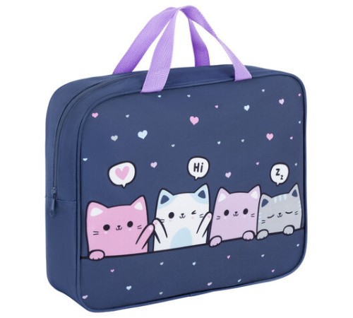 Папка на молнии с ручками BRAUBERG KIDS А4, 1 отделение, полиэстер, 80 мм, 