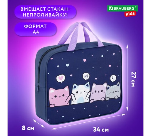 Папка на молнии с ручками BRAUBERG KIDS А4, 1 отделение, полиэстер, 80 мм, 