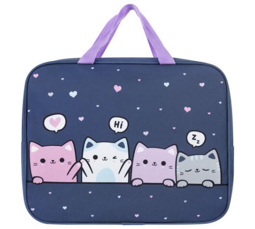 Папка на молнии с ручками BRAUBERG KIDS А4, 1 отделение, полиэстер, 80 мм, 