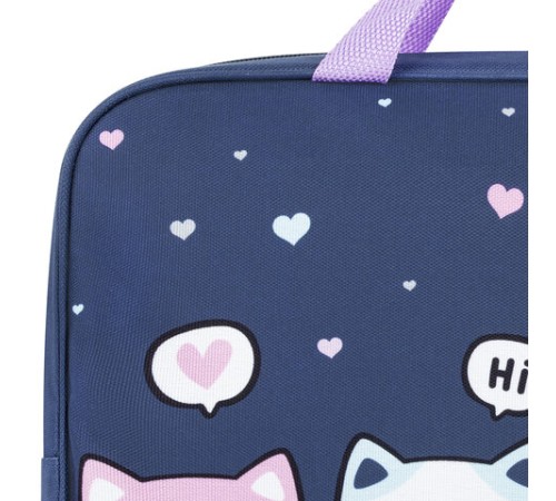 Папка на молнии с ручками BRAUBERG KIDS А4, 1 отделение, полиэстер, 80 мм, 