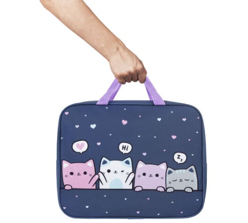 Папка на молнии с ручками BRAUBERG KIDS А4, 1 отделение, полиэстер, 80 мм, 