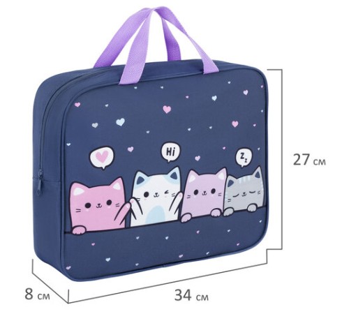 Папка на молнии с ручками BRAUBERG KIDS А4, 1 отделение, полиэстер, 80 мм, 