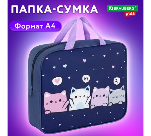 Папка на молнии с ручками BRAUBERG KIDS А4, 1 отделение, полиэстер, 80 мм, 