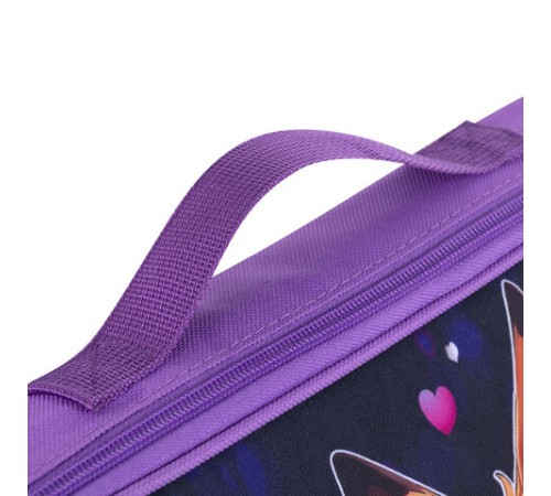 Папка на молнии с ручками BRAUBERG KIDS А4, 1 отделение, регулируемый плечевой ремень, 60 мм, 