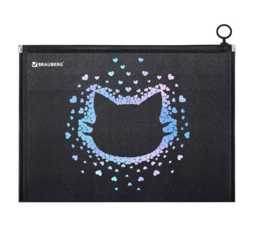 Папка для тетрадей BRAUBERG А4, 1 отделение, пластик, на zip-lock молнии, 