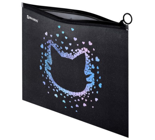 Папка для тетрадей BRAUBERG А4, 1 отделение, пластик, на zip-lock молнии, 