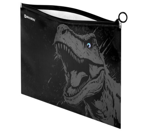 Папка для тетрадей BRAUBERG А4, 1 отделение, пластик, на zip-lock молнии, 