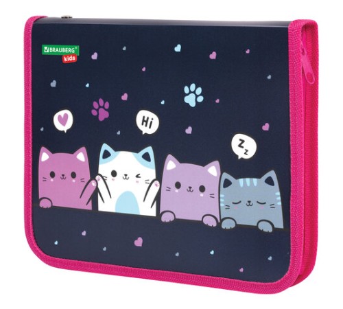 Папка для тетрадей BRAUBERG KIDS А5, 1 отделение, пластик, молния вокруг, 
