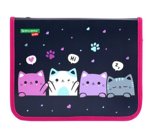 Папка для тетрадей BRAUBERG KIDS А5, 1 отделение, пластик, молния вокруг, 