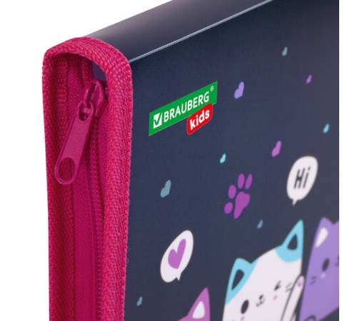 Папка для тетрадей BRAUBERG KIDS А5, 1 отделение, пластик, молния вокруг, 