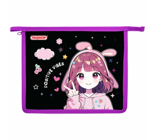 Папка для тетрадей ПИФАГОР А5, 1 отделение, пластик, на молнии, 