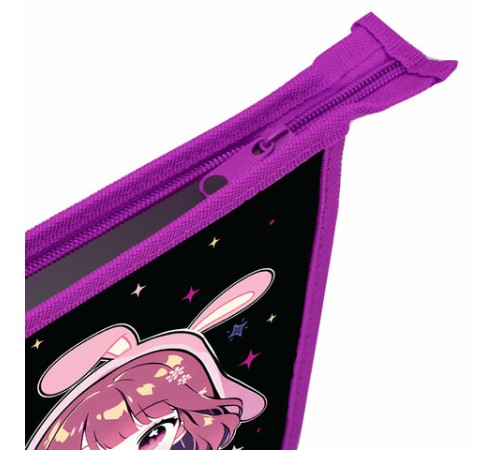 Папка для тетрадей ПИФАГОР А5, 1 отделение, пластик, на молнии, 