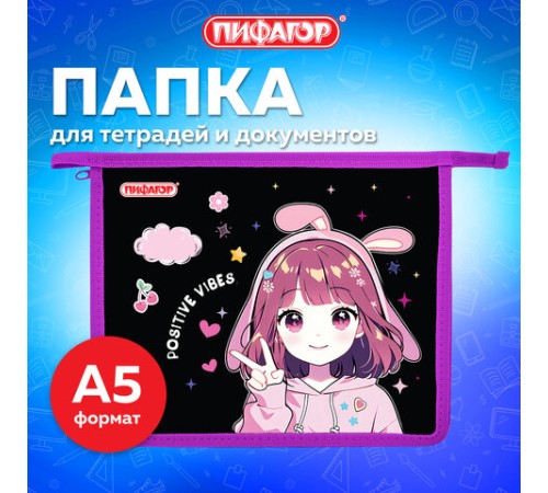 Папка для тетрадей ПИФАГОР А5, 1 отделение, пластик, на молнии, 