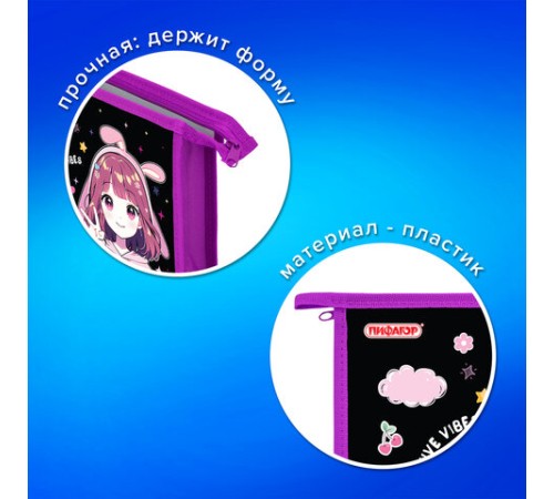Папка для тетрадей ПИФАГОР А5, 1 отделение, пластик, на молнии, 