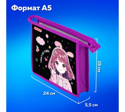 Папка для тетрадей ПИФАГОР А5, 1 отделение, пластик, на молнии, 