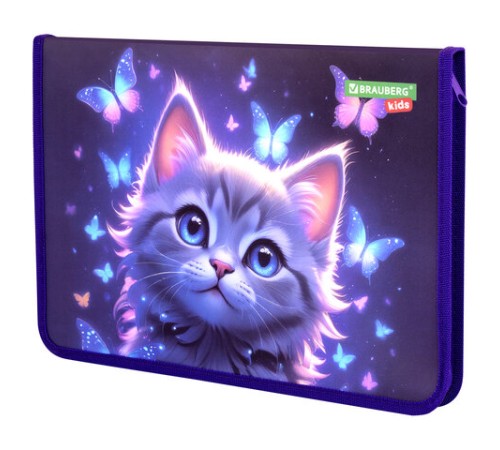 Папка для тетрадей BRAUBERG KIDS А4, 1 отделение, пластик, молния вокруг, 