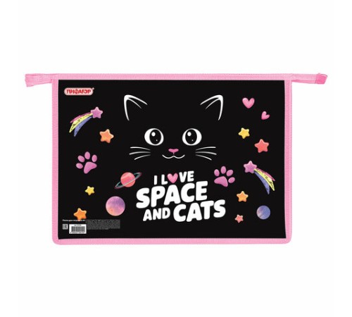 Папка для тетрадей ПИФАГОР А4, 1 отделение, картон/пластик, на молнии, 