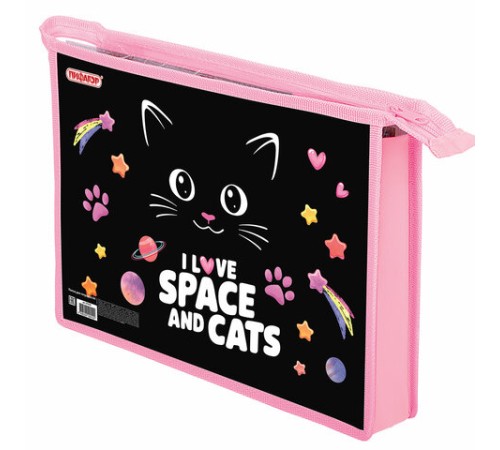 Папка для тетрадей ПИФАГОР А4, 1 отделение, картон/пластик, на молнии, 