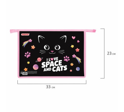 Папка для тетрадей ПИФАГОР А4, 1 отделение, картон/пластик, на молнии, 