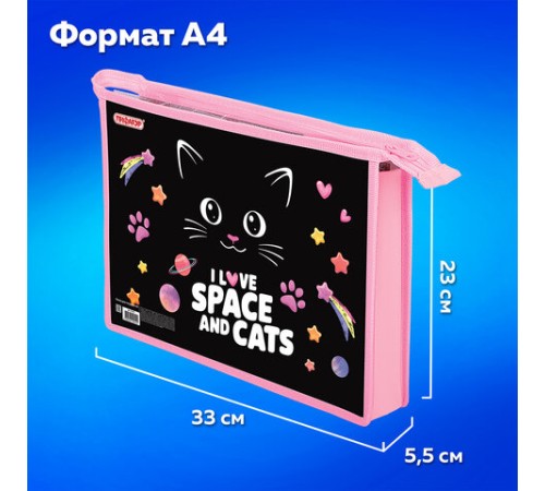 Папка для тетрадей ПИФАГОР А4, 1 отделение, картон/пластик, на молнии, 