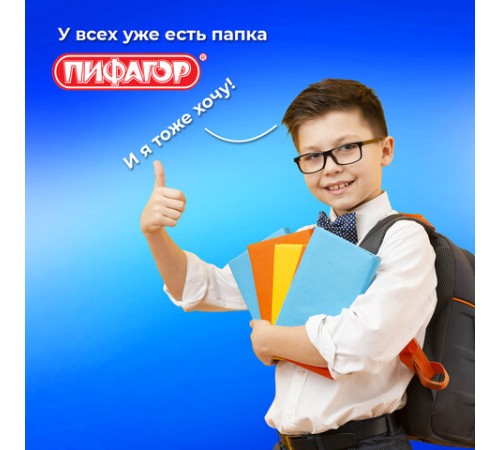 Папка для тетрадей ПИФАГОР А4, 1 отделение, картон/пластик, на молнии, 