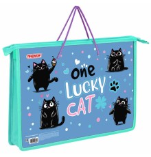 Папка на молнии с ручками ПИФАГОР А4, 1 отделение, пластик, ручки-шнурок, 